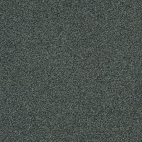Ковровая плитка Interface Polichrome Stipple 4265003 Caviar фото 1 | FLOORDEALER